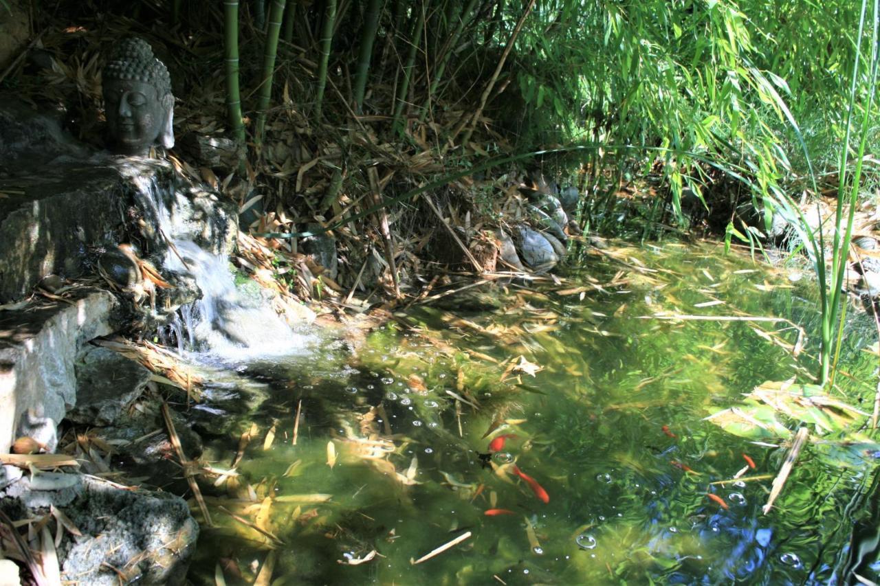 Le Mas De La Cigale Bleue, Caumont Sur Durance Kültér fotó
