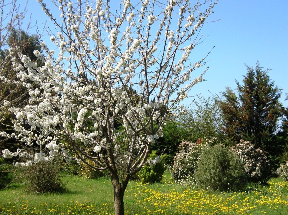 Le Mas De La Cigale Bleue, Caumont Sur Durance Kültér fotó