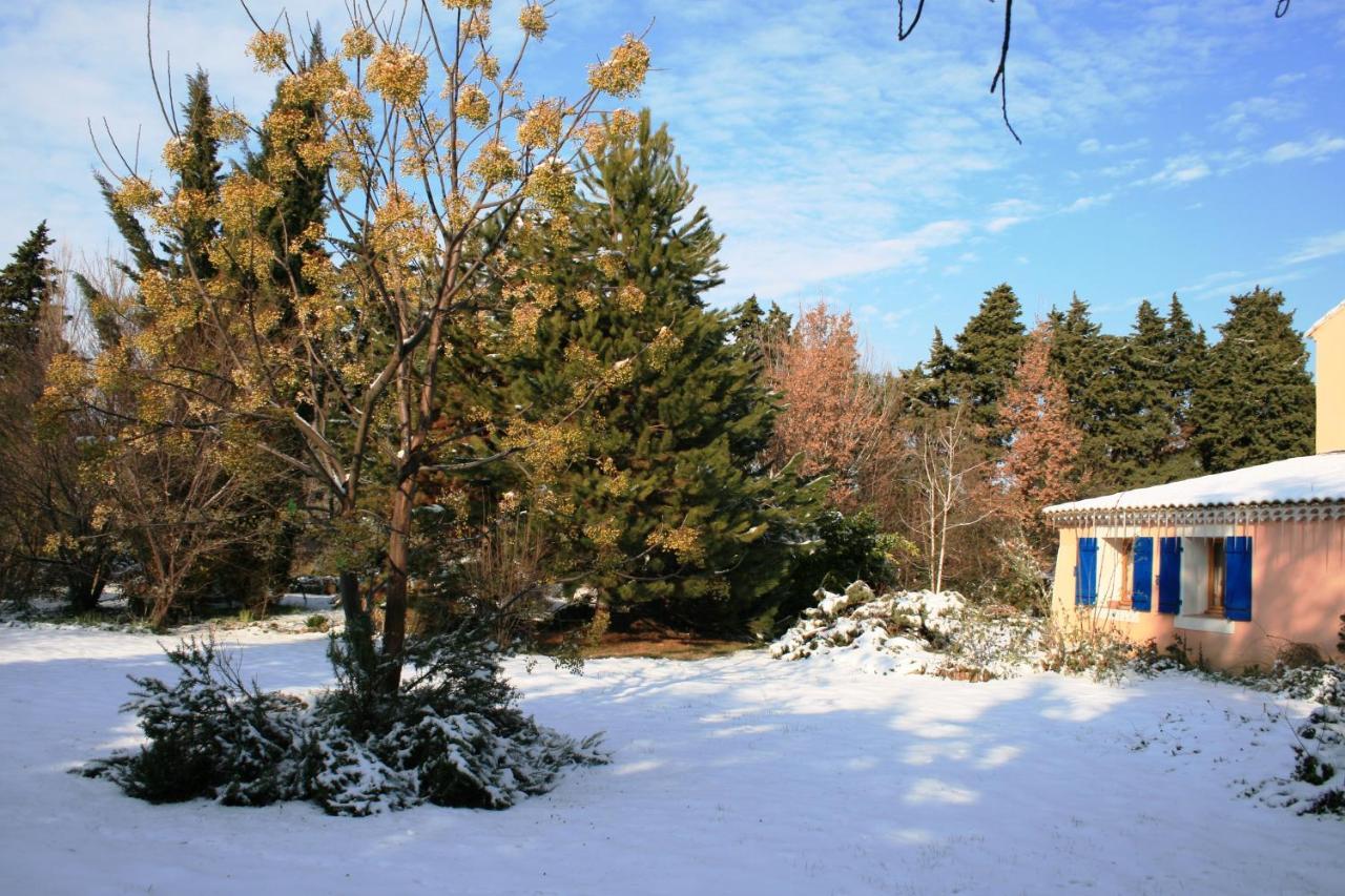 Le Mas De La Cigale Bleue, Caumont Sur Durance Kültér fotó