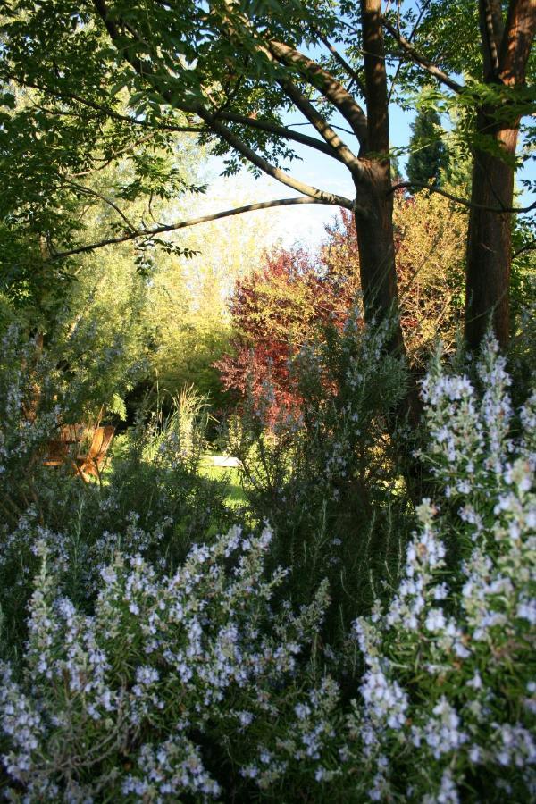 Le Mas De La Cigale Bleue, Caumont Sur Durance Kültér fotó